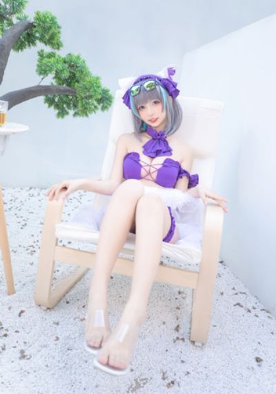 警中警
